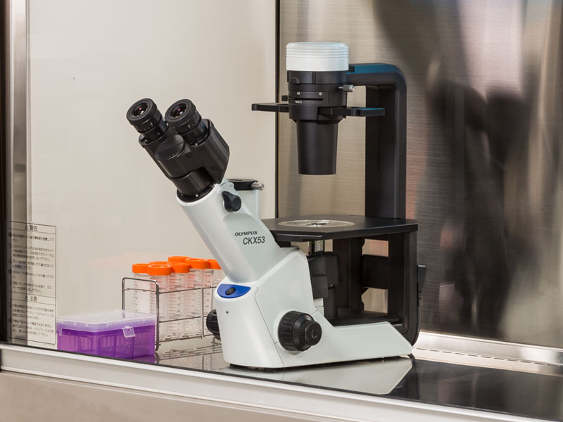 CKX53倒置顯微鏡 (3).jpg