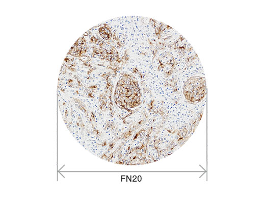 1633660531972346.jpg 03.jpg