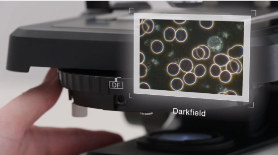 1633660557751765.jpg 04 拷貝.jpg