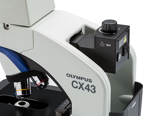 1633660581172342.jpg 簡單的熒光觀察.jpg