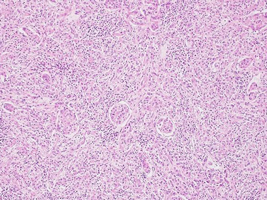 1633660635149664.jpg 腎.jpg