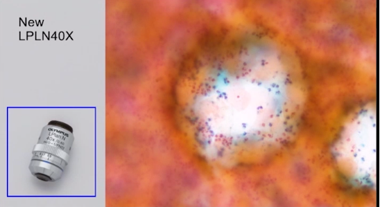 BX43手動顯微鏡系統(tǒng) (2).png