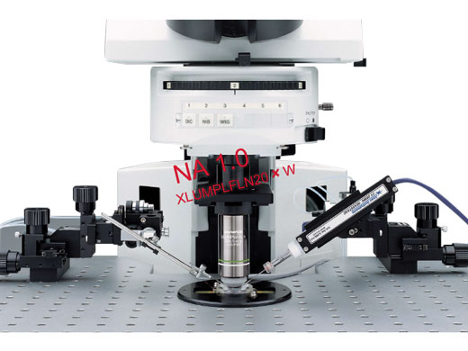 IR-DIC觀察 (1).jpg