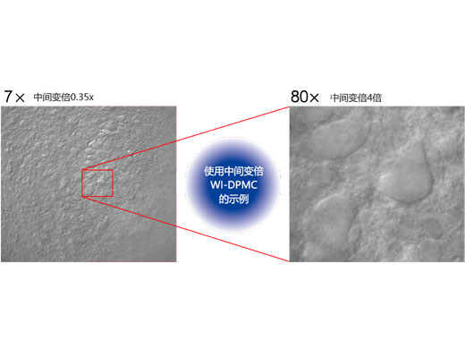 免振的放大倍率轉(zhuǎn)換 (2).jpg