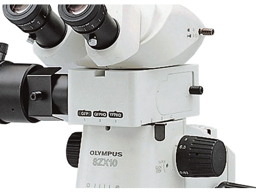 1633675021353118.jpg 熒光照明器.jpg