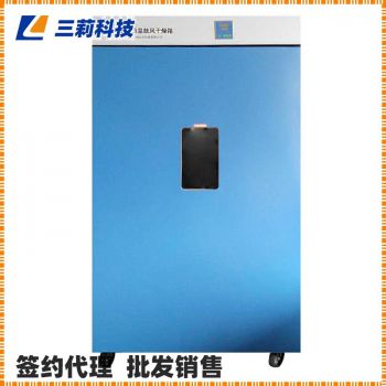 一恒大型烘箱DHG-9620A電熱恒溫鼓風干燥箱 ,圖片,報價