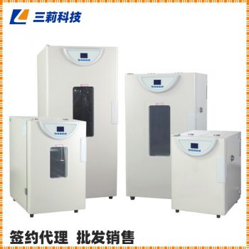 一恒精密鼓風干燥箱 BPG-9000系列控制鼓風烘箱-參數,圖片