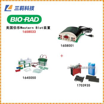Bio-Rad Mini-Protean小垂直板電泳槽 1658033三件套蛋白電泳槽