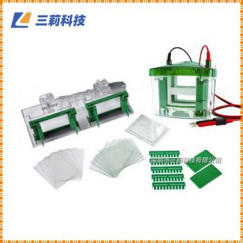 Bio-Rad Mini-Protean小型垂直電泳槽 1658001垂直電泳槽